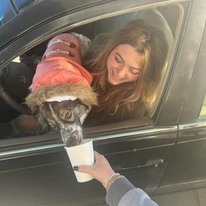 Meet your Posher, Ashley